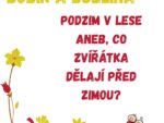 Podzim v lese
